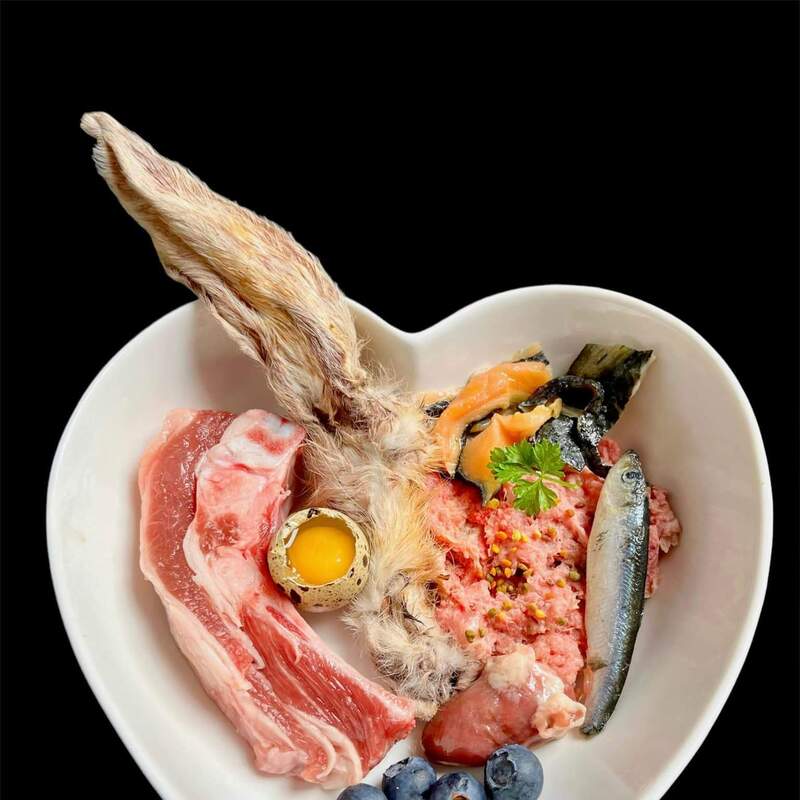 Feed Homemade Holistic Diet